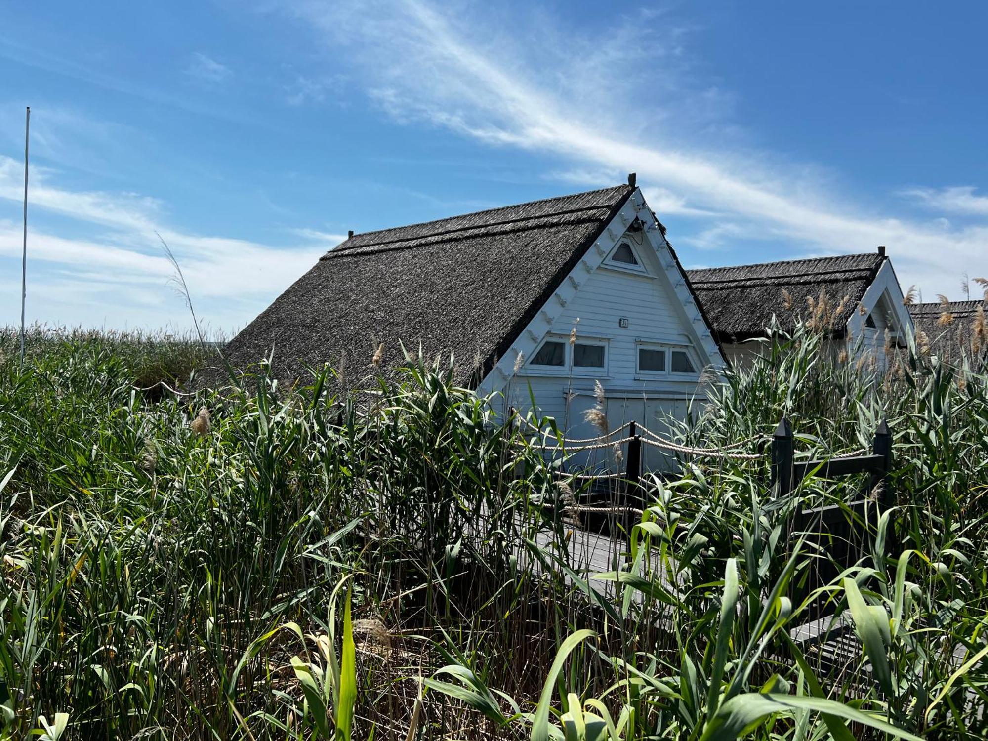 Seehuette Neusiedlersee - Seehaus Inklusive Elektroboot Rust Exteriér fotografie